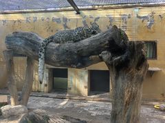 -青藏高原野生动物园