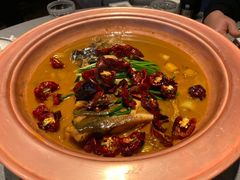 -柿合缘新京菜(国金中心商场店)