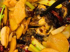 -沈姐万州烤鱼(沙坪坝七中店)
