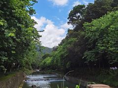 -广州白江湖森林公园