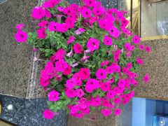 iphone_upload_pic-精益眼镜(春熙路店)