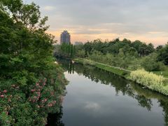 -眉山湿地公园(东坡区)