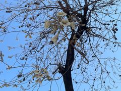 -福建师范大学(仓山校区)