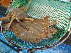 -碧海银沙海鲜餐厅(恒大海上威尼斯店)