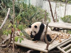 -南宁市动物园