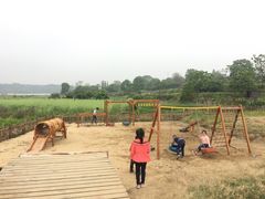 -栖凤渡鱼粉基地凤楚传奇