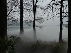 -东湖落雁景区