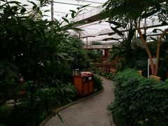 -汤山翠谷生态餐厅