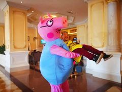 -重庆长寿碧桂园凤悦凤凰酒店