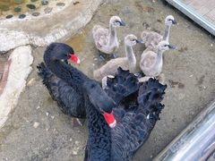 -水上乐园·欢乐世界