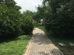 -大港湿地公园
