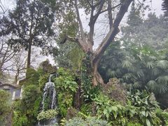 -成都武侯祠博物馆