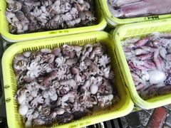 -南沙十九涌渔人码头-南门