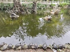 -国恩寺