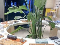 -上野眼镜(成都太古里店)