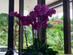 -三亚湾海居铂尔曼度假酒店