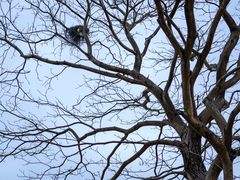 -天适樱花悠乐园