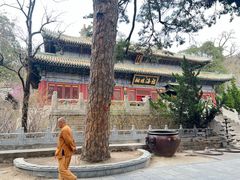 -潭柘寺景区