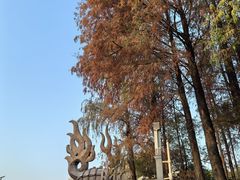 -四海公园(南山区)