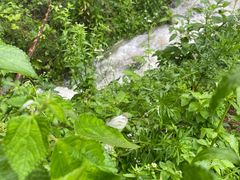 -安吉龙王山峡谷漂流