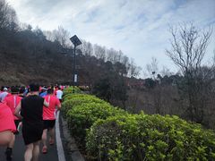 -南京市无想山景区