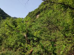 -抱龙峪