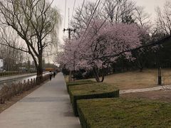 -元大都城垣遗址公园