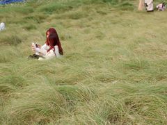 -白鹭湾湿地公园