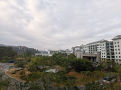 -河源万绿湖美思威尔顿酒店