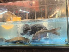 -耕渔小院·湖南鱼鲜(望城店)