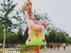 -秦皇岛野生动物园