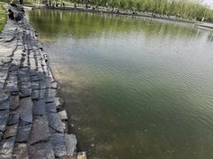 -五环公园