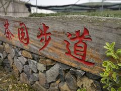 -龙坞茶村