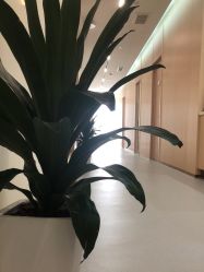 -上海伊莱美医疗美容医院