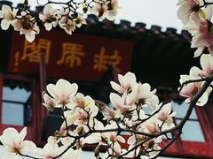 -常熟方塔园