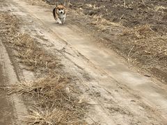 -万源龙顺度假庄园生态观光园