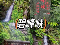 -碧峰峡风景区