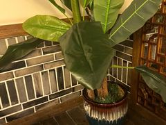 -杨记隆府(南坪店)