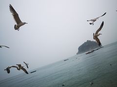 -棒棰岛宾馆景区