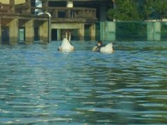 -鄱阳湖国家湿地公园