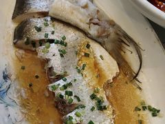 -松沪名灶·豆浆鱼头·新上海菜(飞航吾悦广场店)