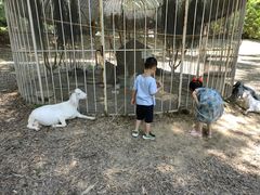 -福建鲤鱼洲酒店