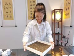 -诗宇时光茶艺书法古琴培训