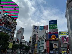 -涩谷区