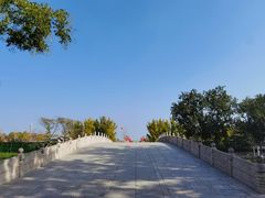 -赵州桥景区