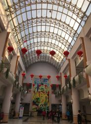 -上海交通大学医学院附属上海儿童医学中心(陆家嘴总院区)