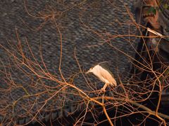 -广富林郊野公园