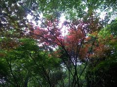 -法云古村
