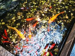 -苏州独墅湖书香世家酒店