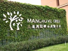 -三亚湾红树林度假世界(木棉酒店)